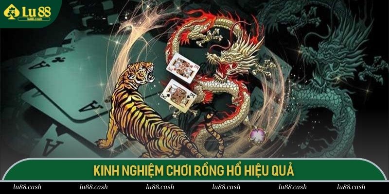Hội viên áp dụng kinh nghiệm để giành chiến thắng với Rồng Hổ